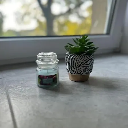 Apartament Ferien- Monteurwohnung In Foerderstedt, *